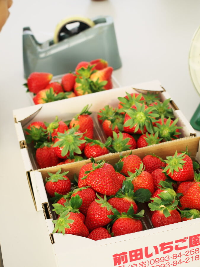 前田いちご園の写真3