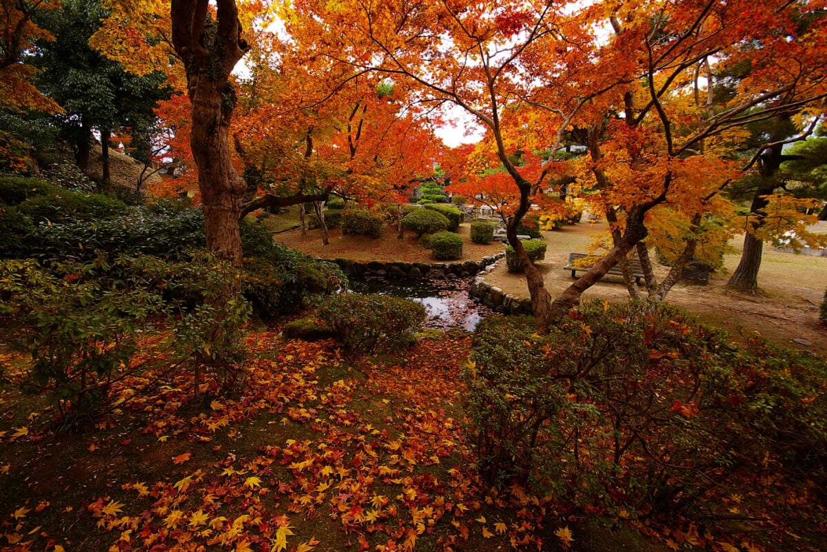 西渓公園の写真1