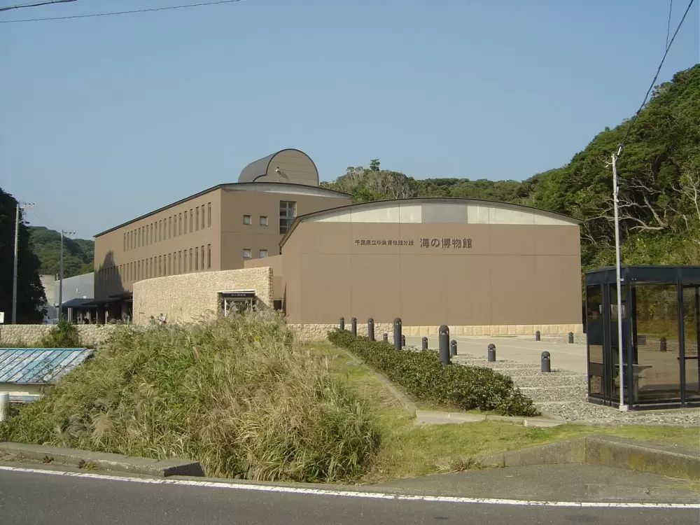 千葉県立中央博物館分館 海の博物館の写真1