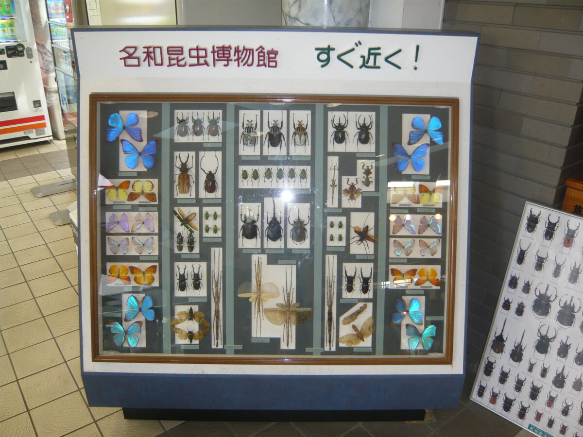 名和昆虫博物館の写真3