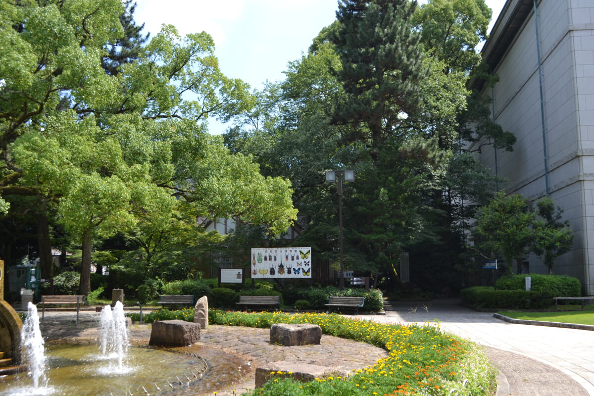 名和昆虫博物館の写真4