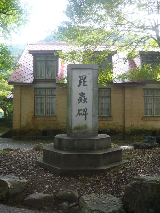 名和昆虫博物館の写真6