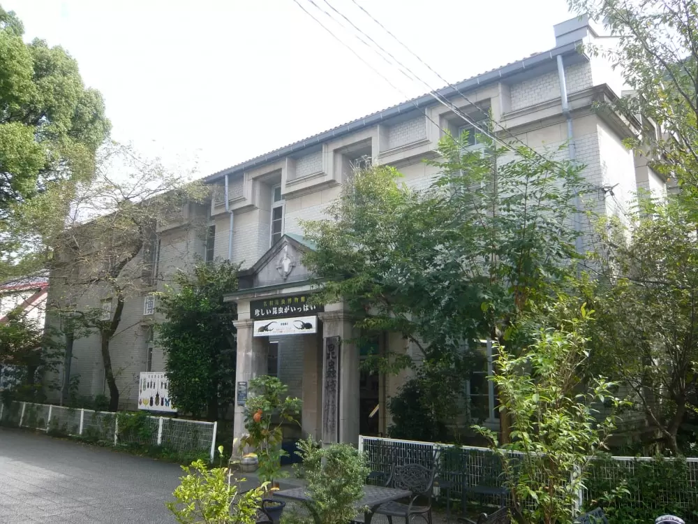 名和昆虫博物館の写真1