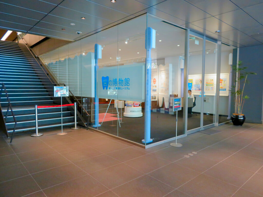 歯の博物館の写真2