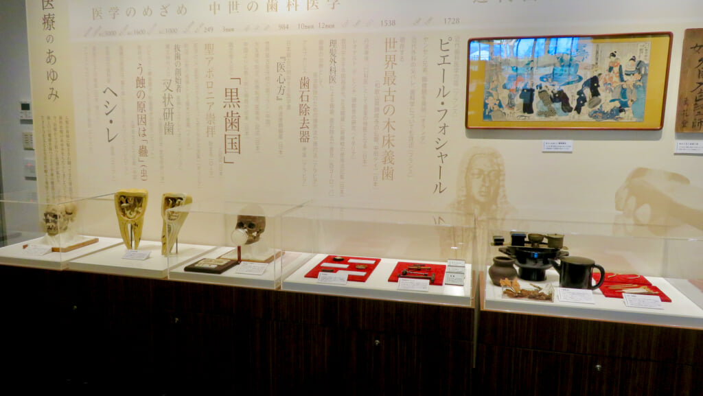歯の博物館の写真3