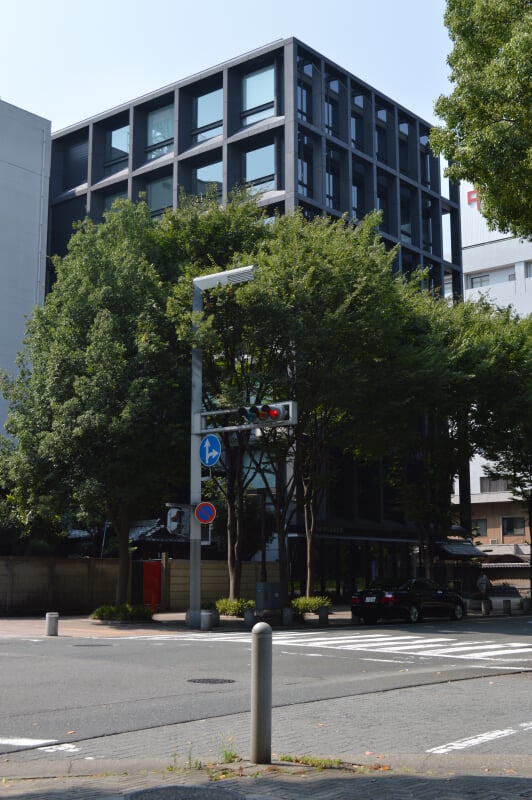 歯の博物館の写真4