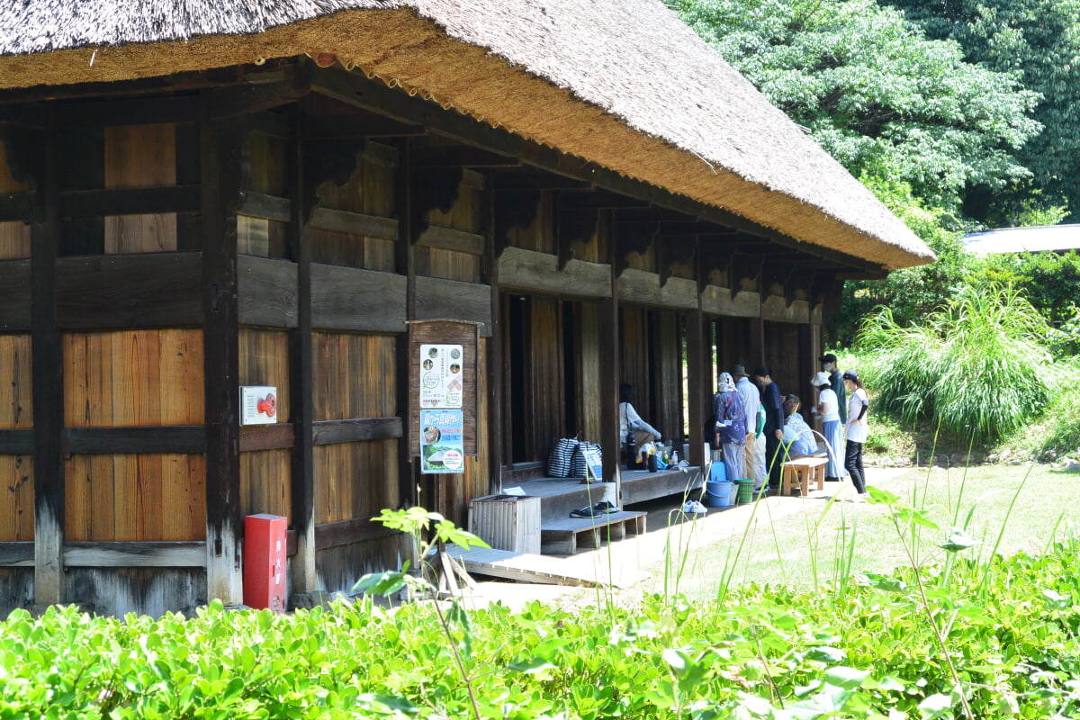日本民家集落博物館の写真3