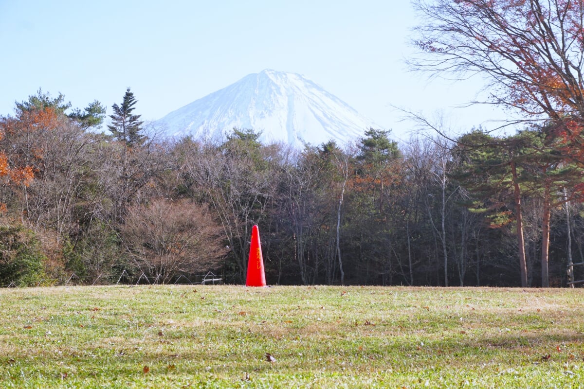 西湖野鳥の森公園の写真3