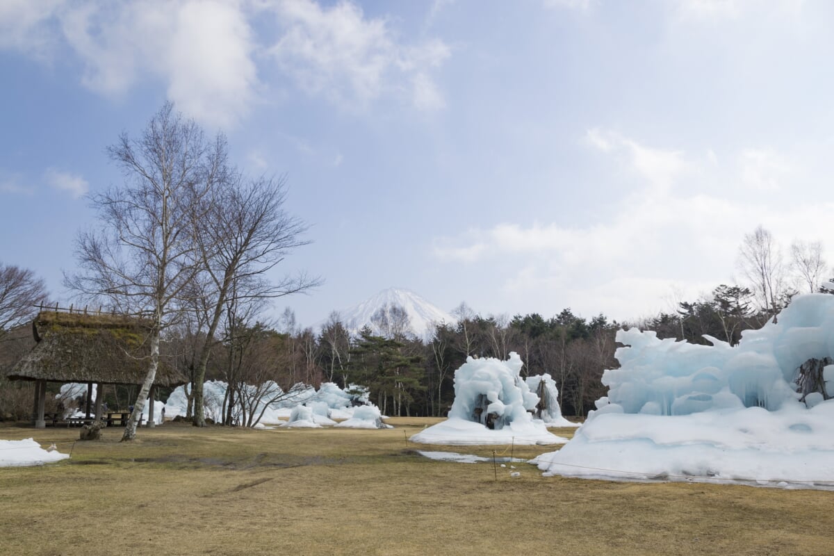 西湖野鳥の森公園の写真4