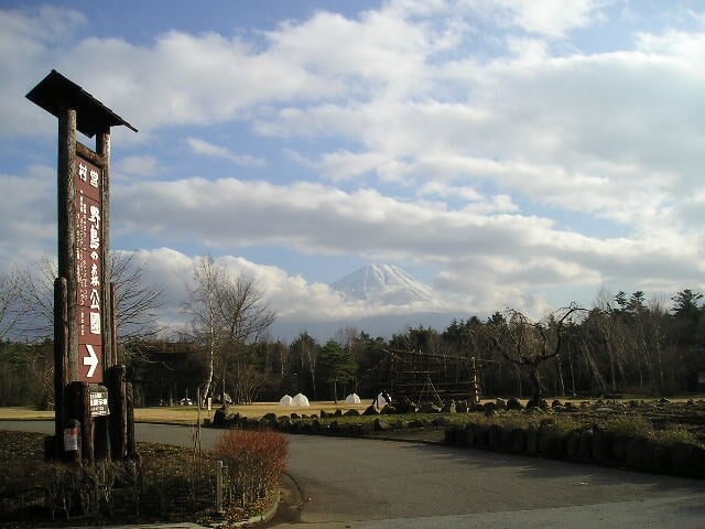 西湖野鳥の森公園の写真9