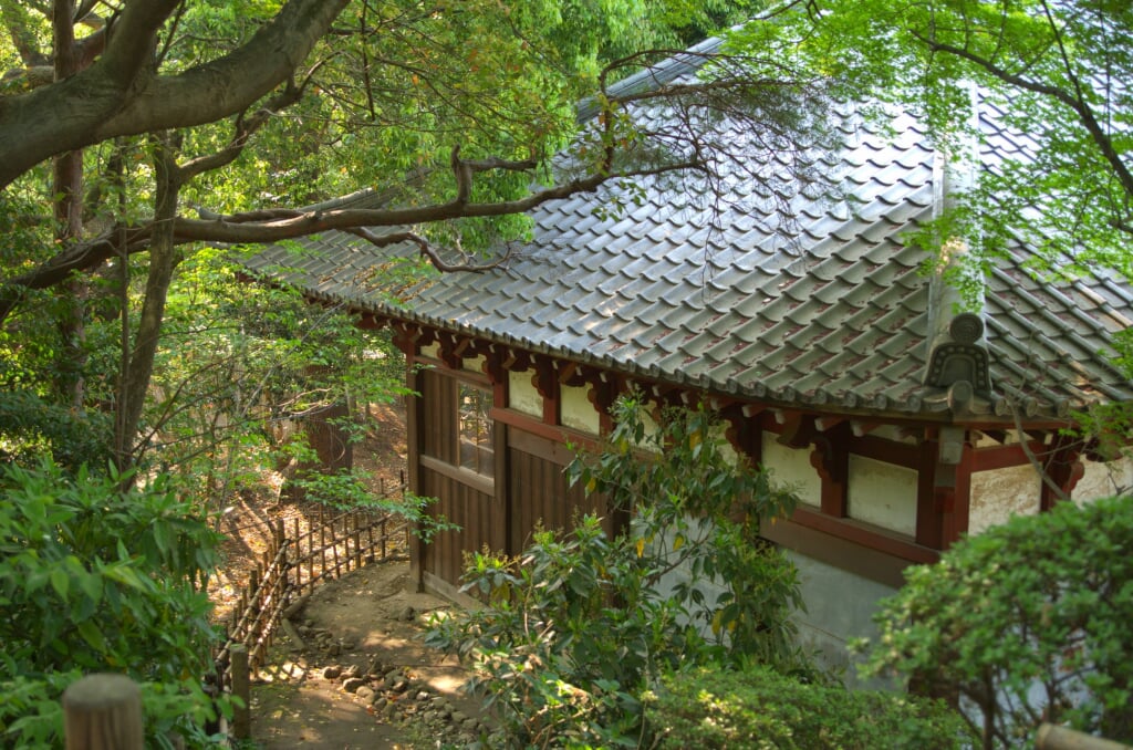 哲学堂公園の写真5