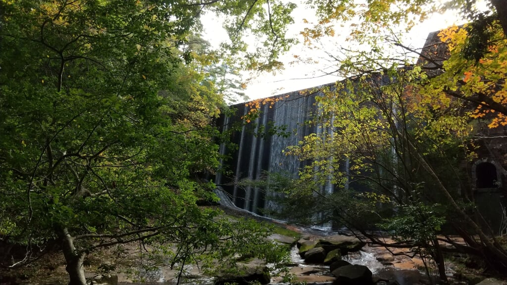 るり渓自然公園の写真2