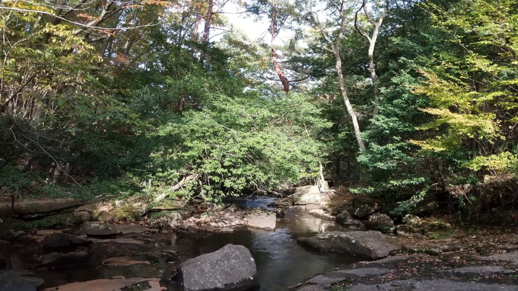 るり渓自然公園の写真1