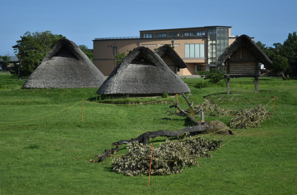 静岡市立登呂博物館の写真6