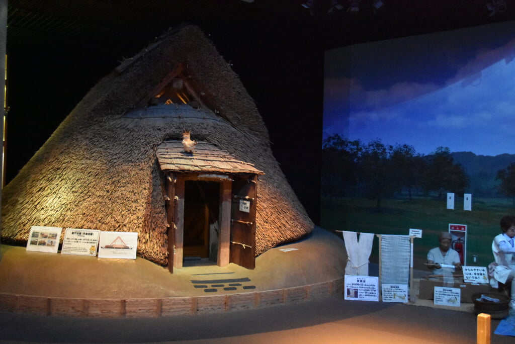 静岡市立登呂博物館の写真9