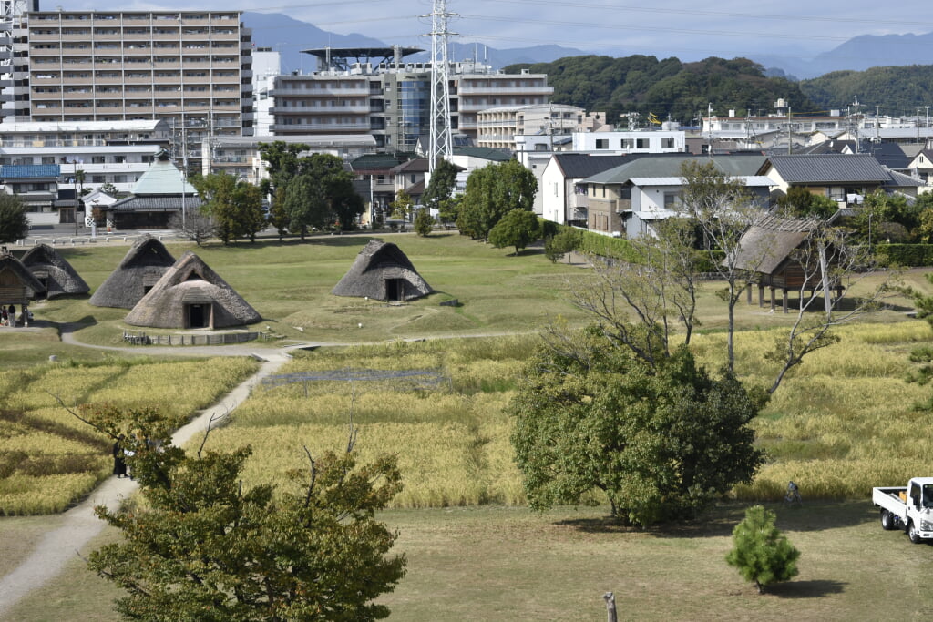 静岡市立登呂博物館の写真12