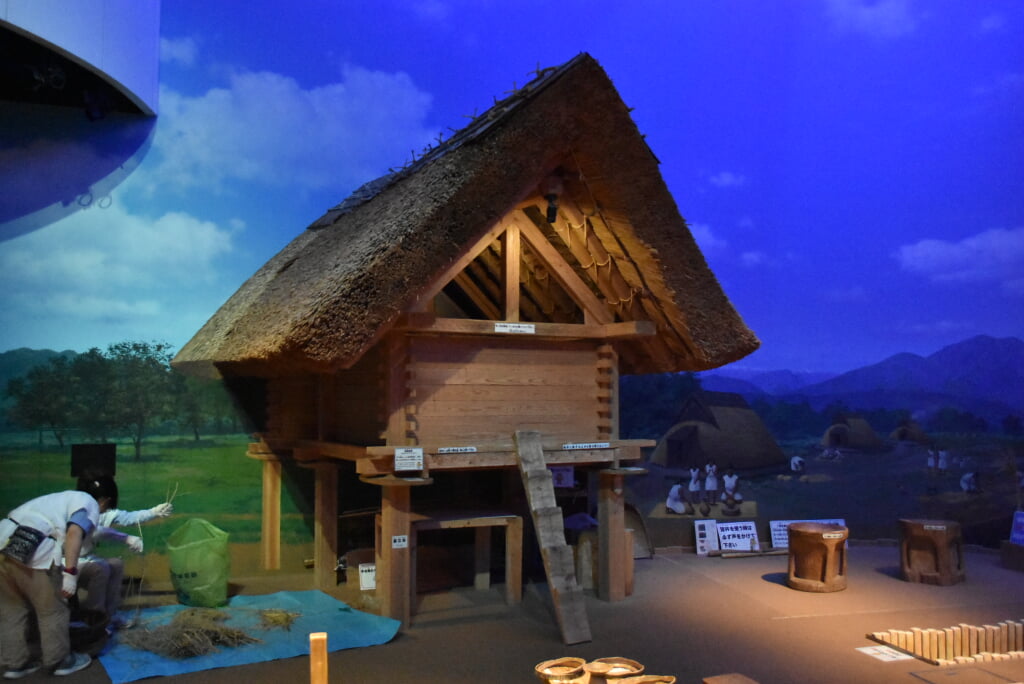 静岡市立登呂博物館の写真14