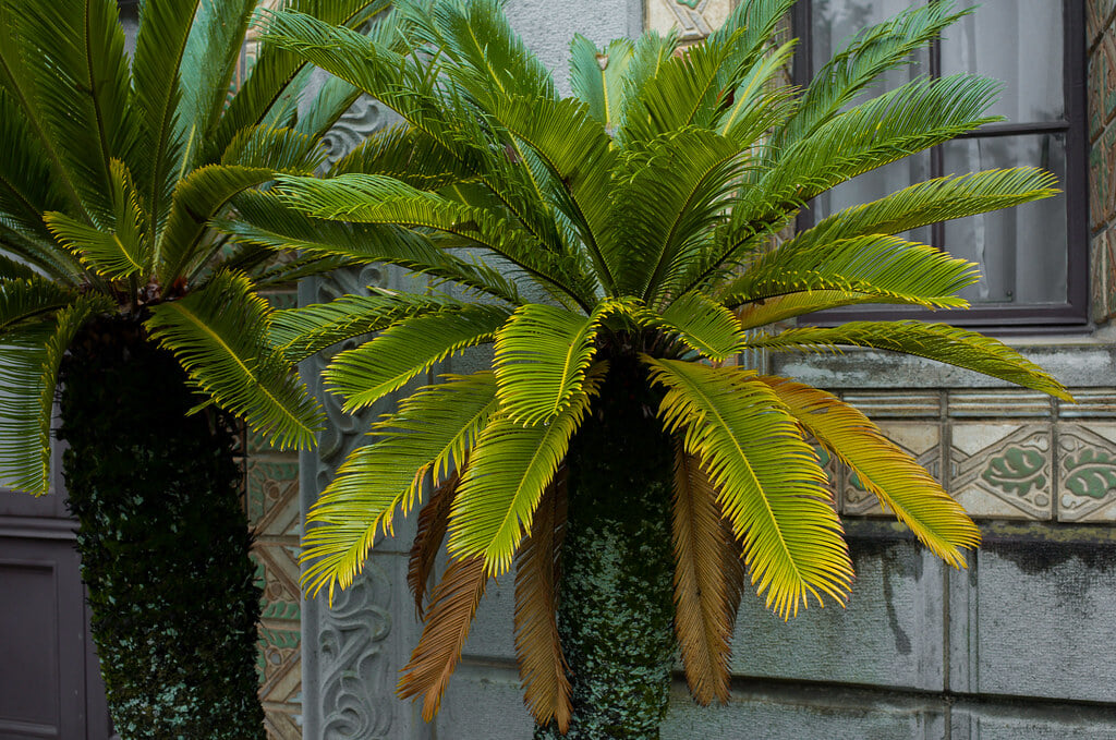 渋沢史料館の写真2