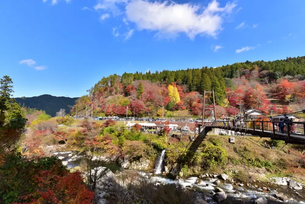 大井平公園の写真1