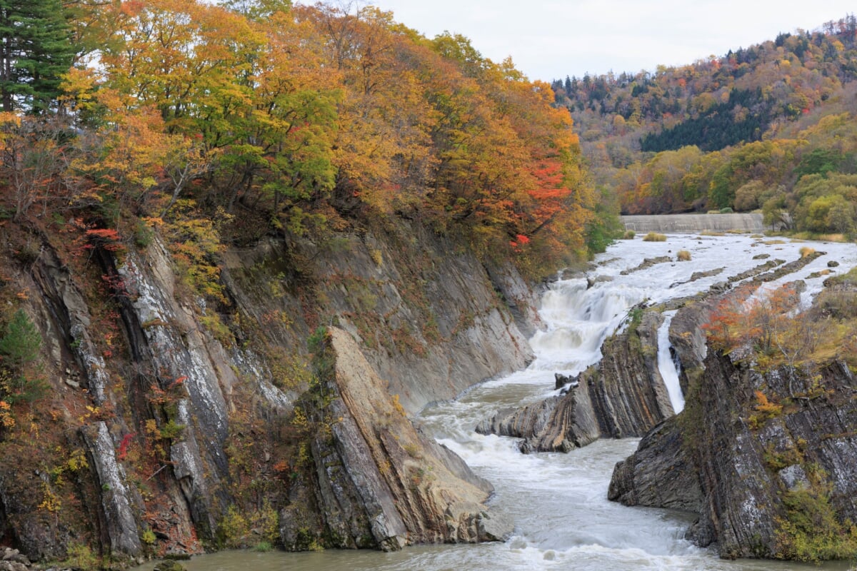 滝の上公園の写真2