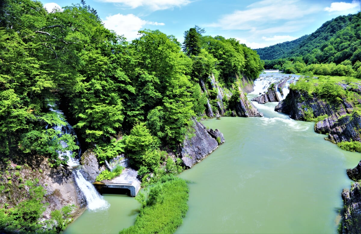 滝の上公園の写真3
