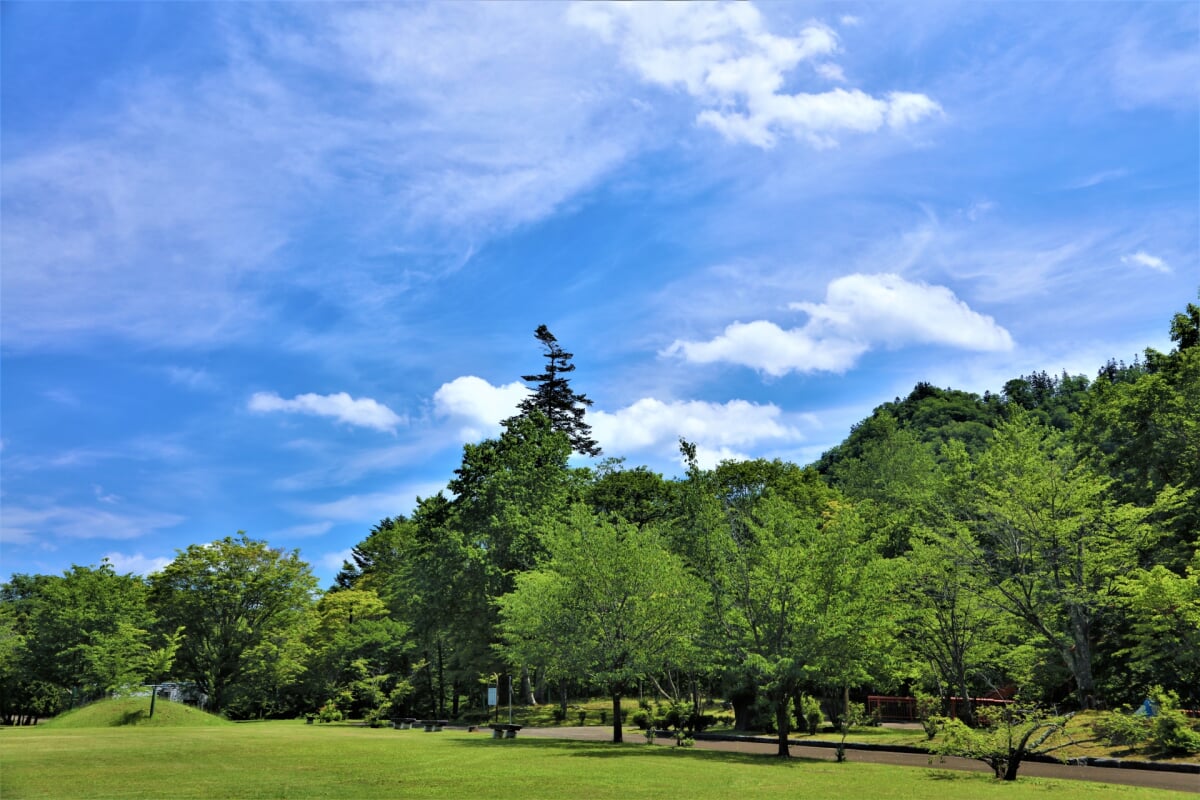 滝の上公園の写真4