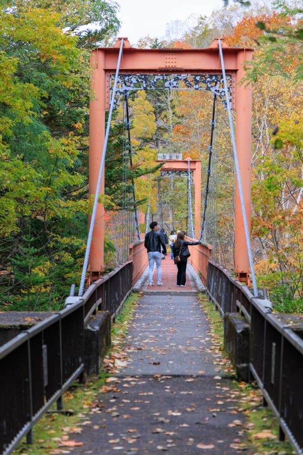 滝の上公園の写真6