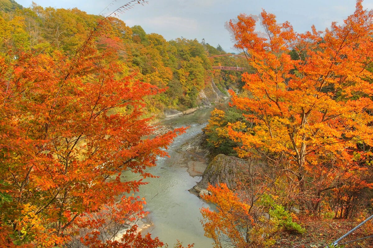 滝の上公園の写真7