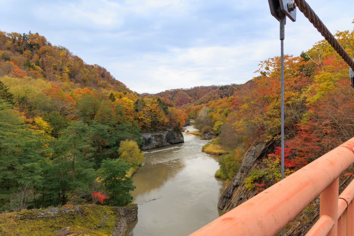 滝の上公園の写真8