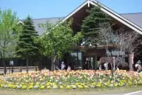 秋田県立北欧の杜公園