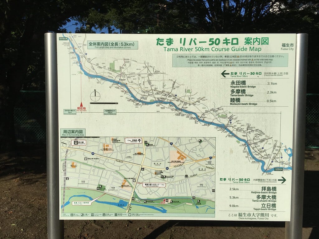 多摩川緑地福生南公園の写真3