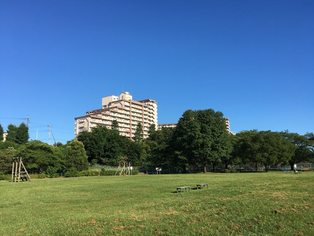 多摩川緑地福生南公園の写真7