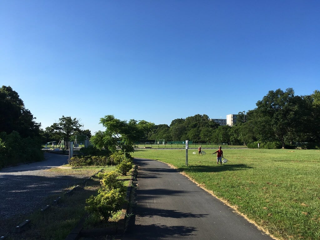 多摩川緑地福生南公園の写真10
