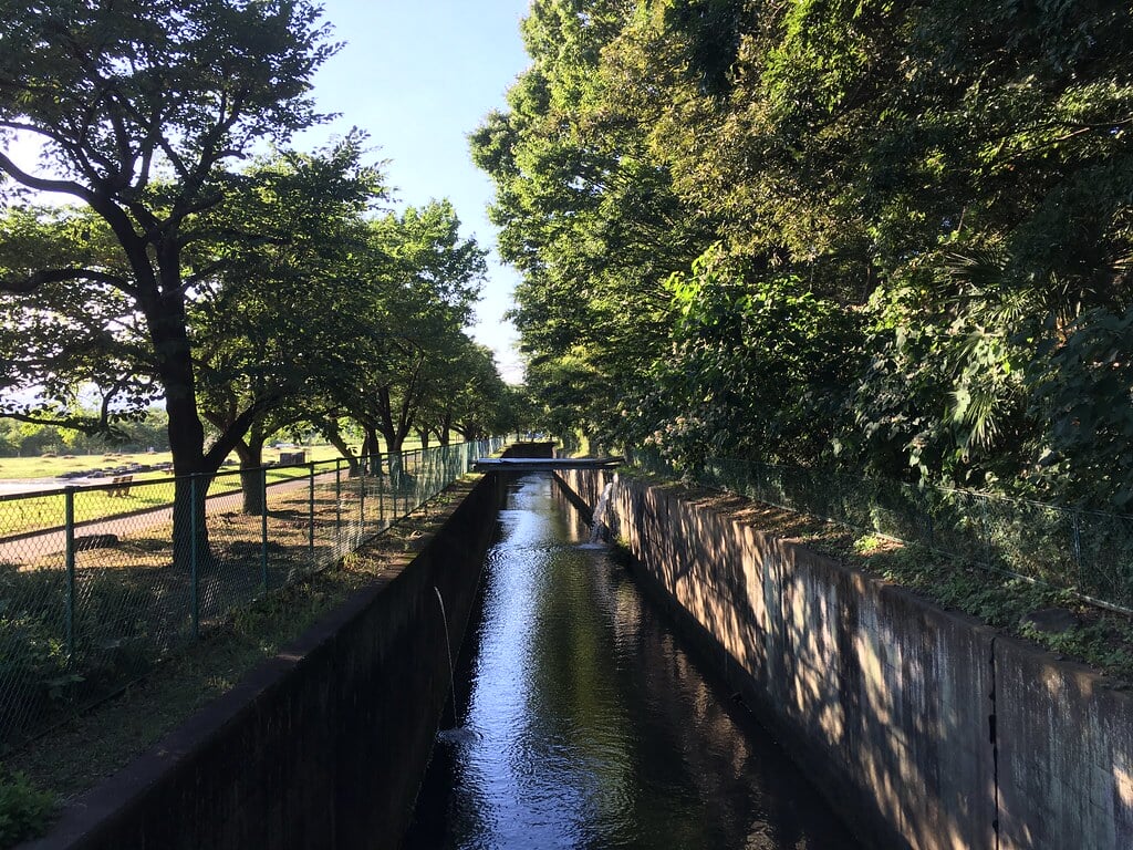 多摩川緑地福生南公園の写真11