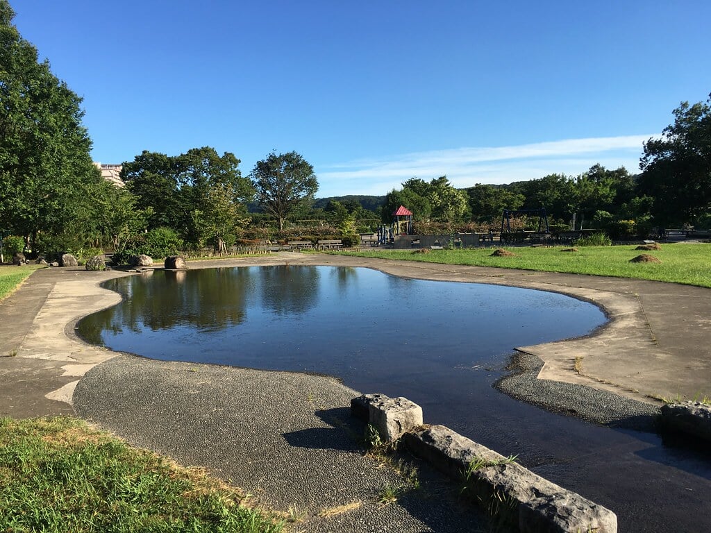多摩川緑地福生南公園の写真1