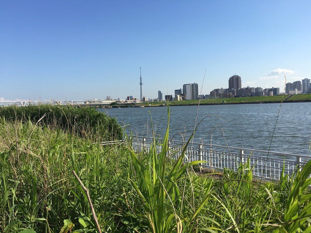 荒川小菅緑地公園の写真1