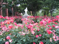 石橋文化センター