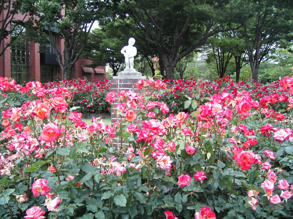 石橋文化センターの写真1