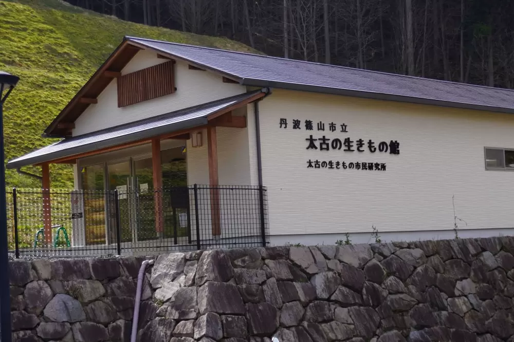 兵庫県立丹波並木道中央公園の写真1