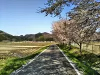 白河関の森公園