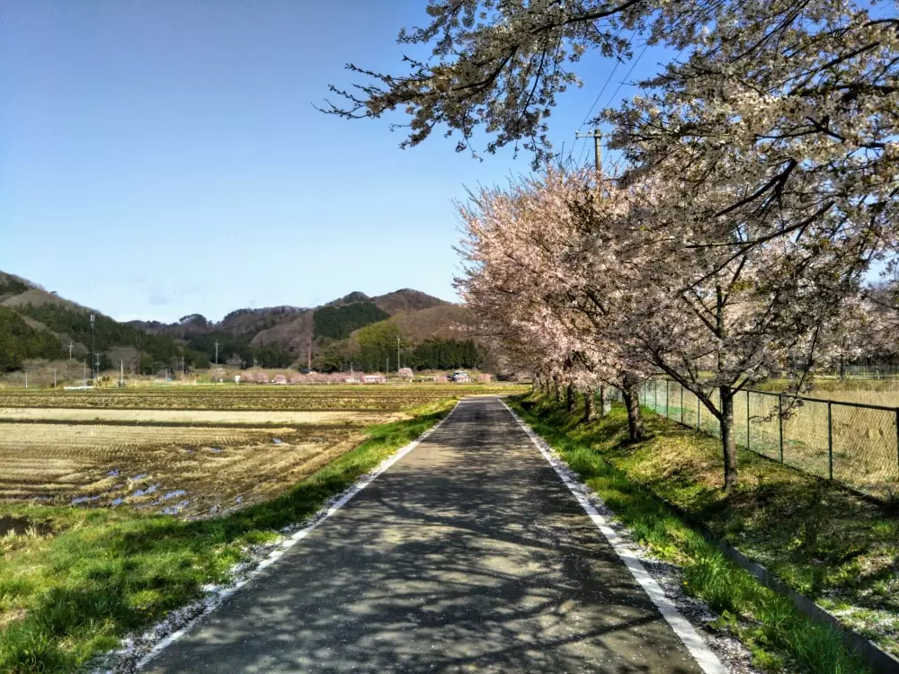 白河関の森公園の写真1