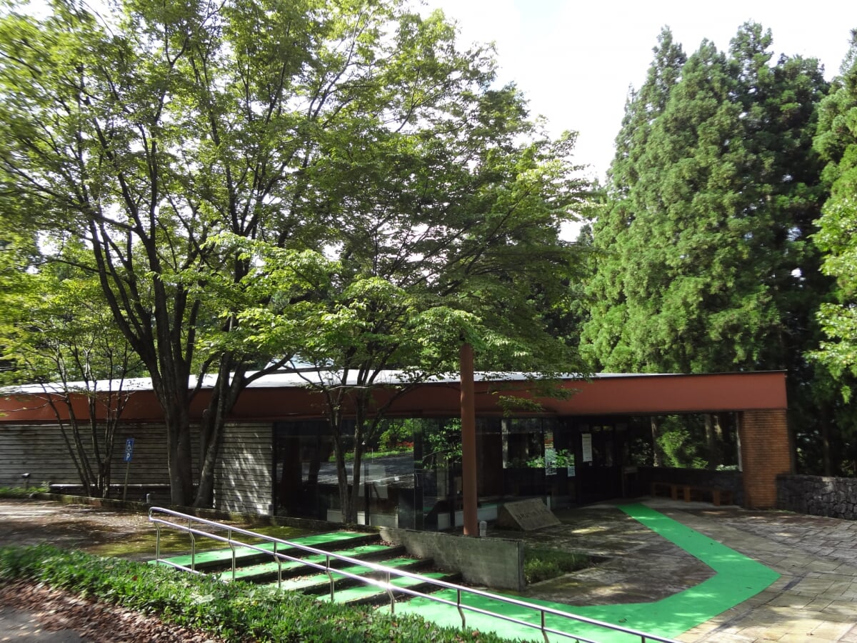 石川県林業試験場 樹木公園の写真1