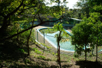 綱島公園プール