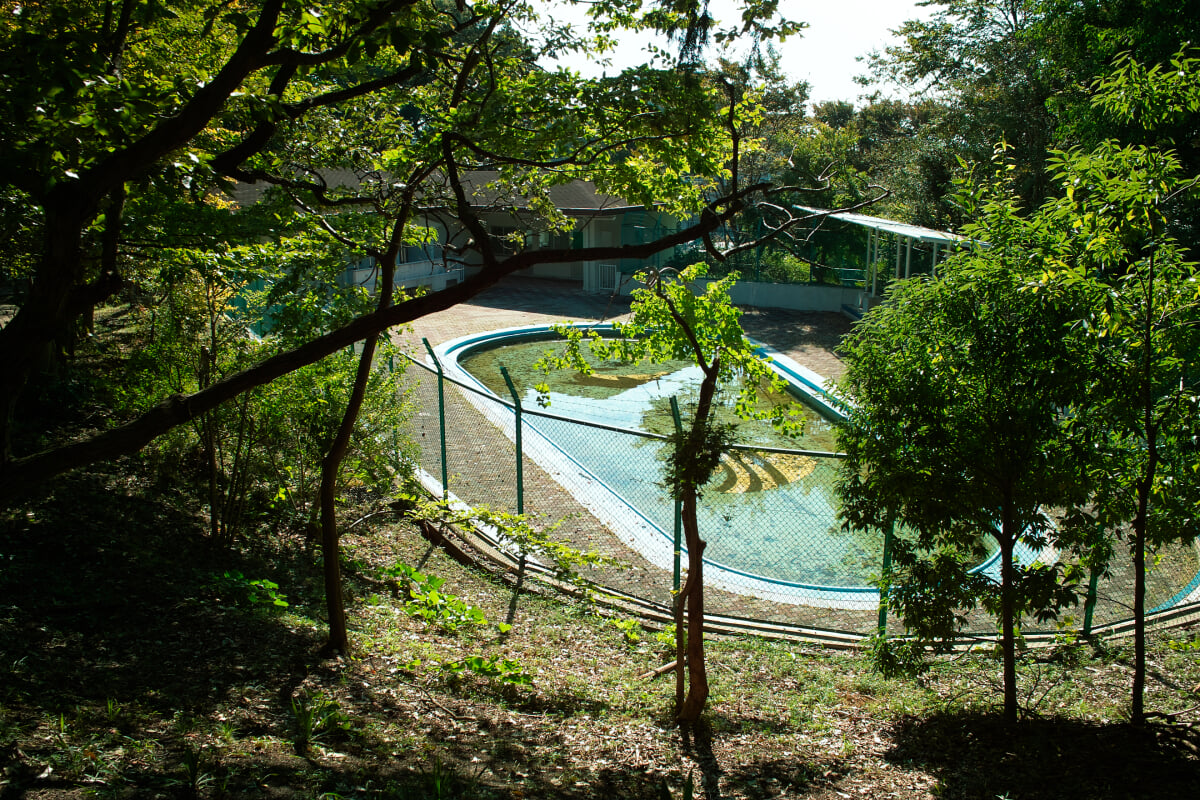 綱島公園プールの写真1