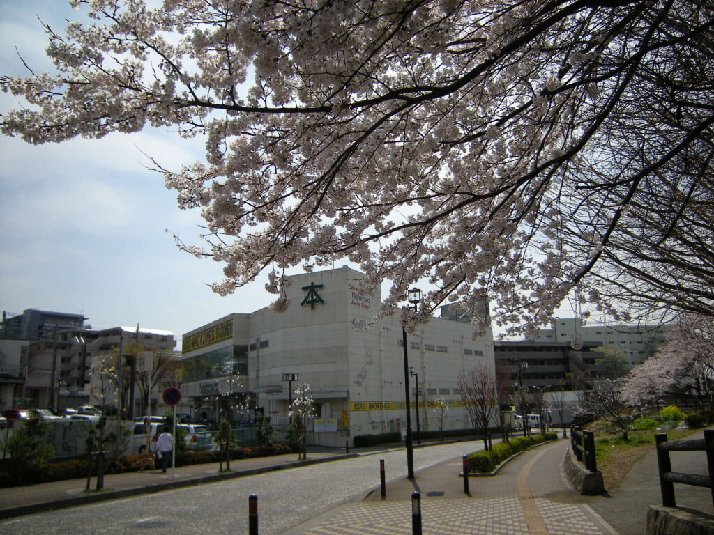 横山公園の写真1