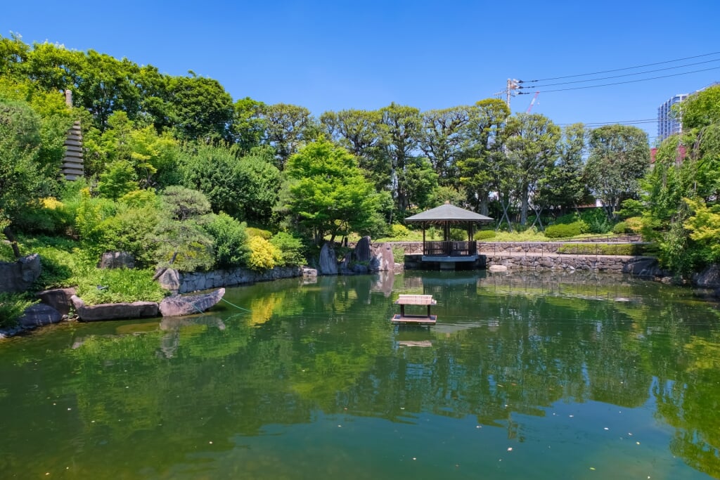 目白庭園の写真3