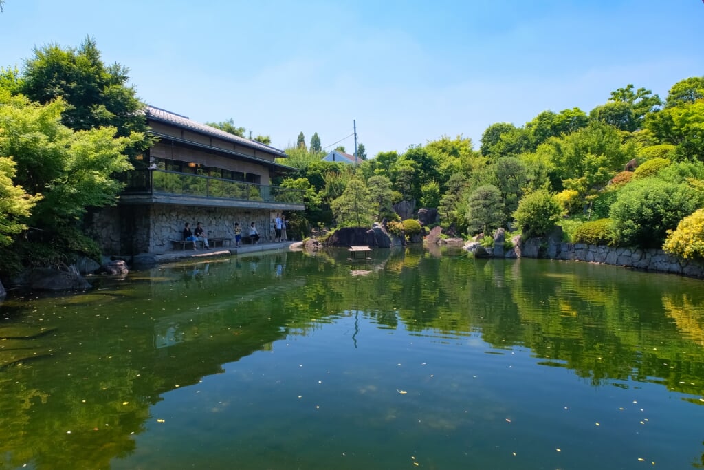 目白庭園の写真4