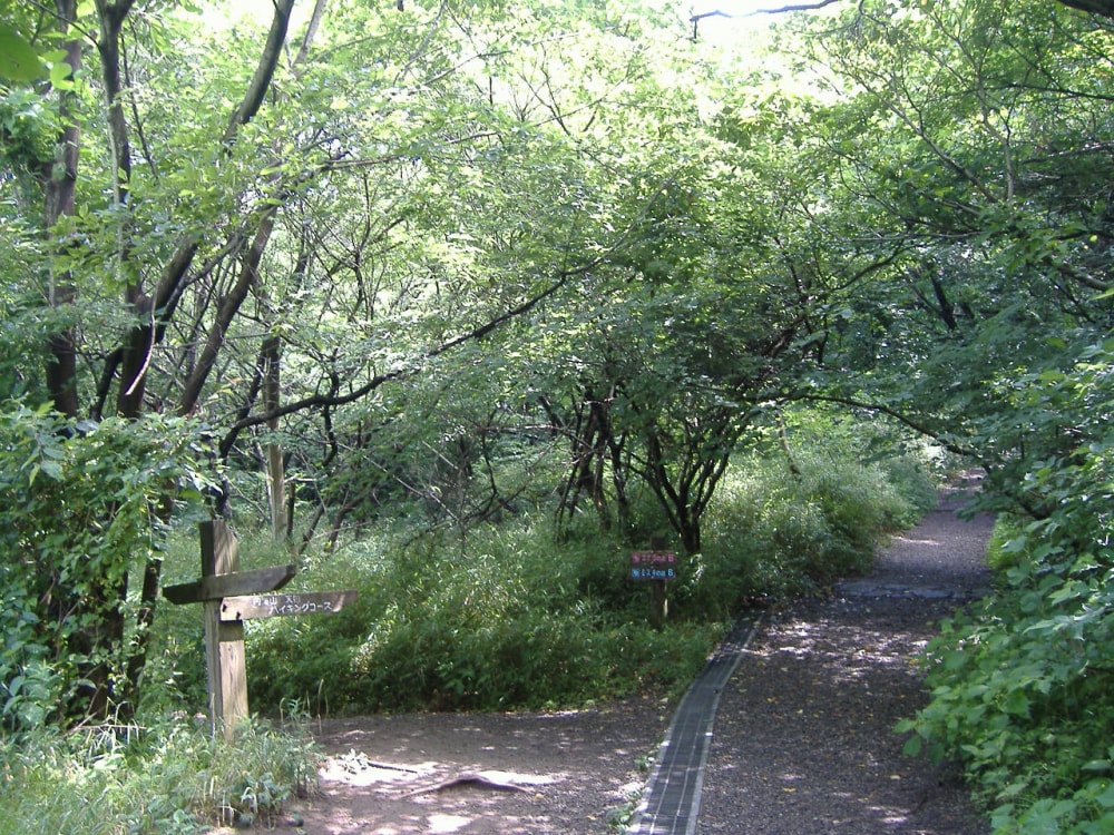 横浜自然観察の森の写真3