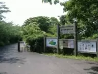 横浜自然観察の森