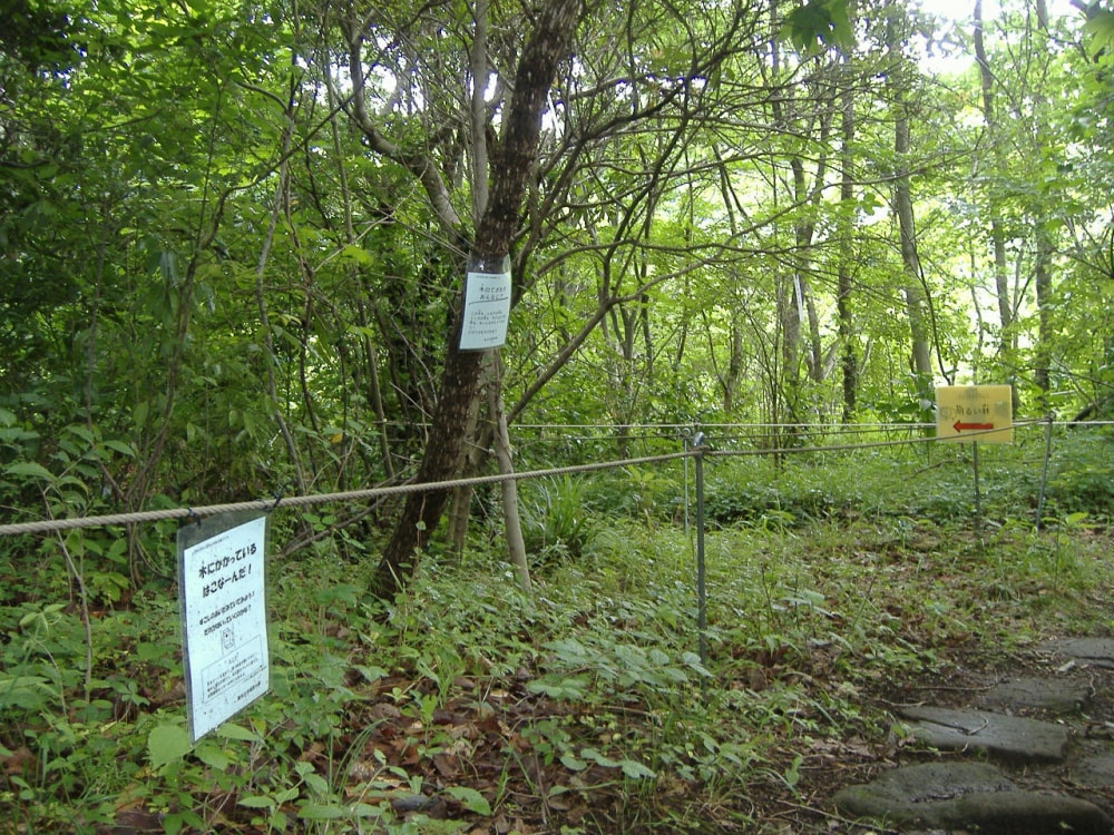 横浜自然観察の森の写真4